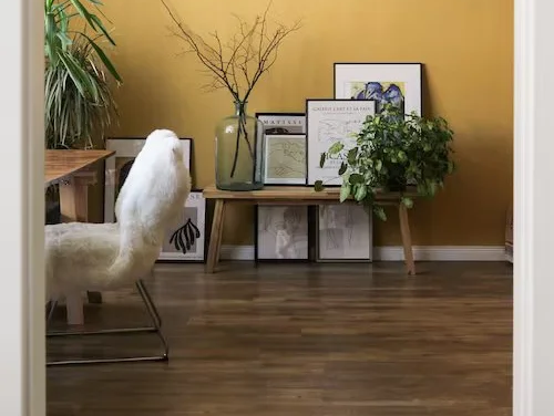 Flooring experts at Gary Denney Floor Covering & Carpet Warehouse in The Dalles, OR